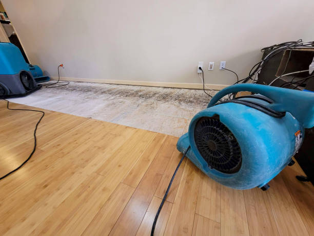 Professional Flood Damage Cleanup technician working in Fredericktown, PA